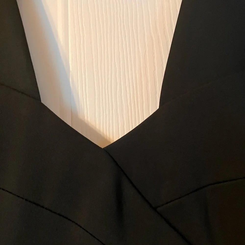 BCBGMaxAzria Black Backless Dress - Picture 8 of 15